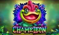 chameleon